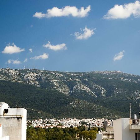 Inspiration Guestroom With Amazing Roof Garden Atene Esterno foto